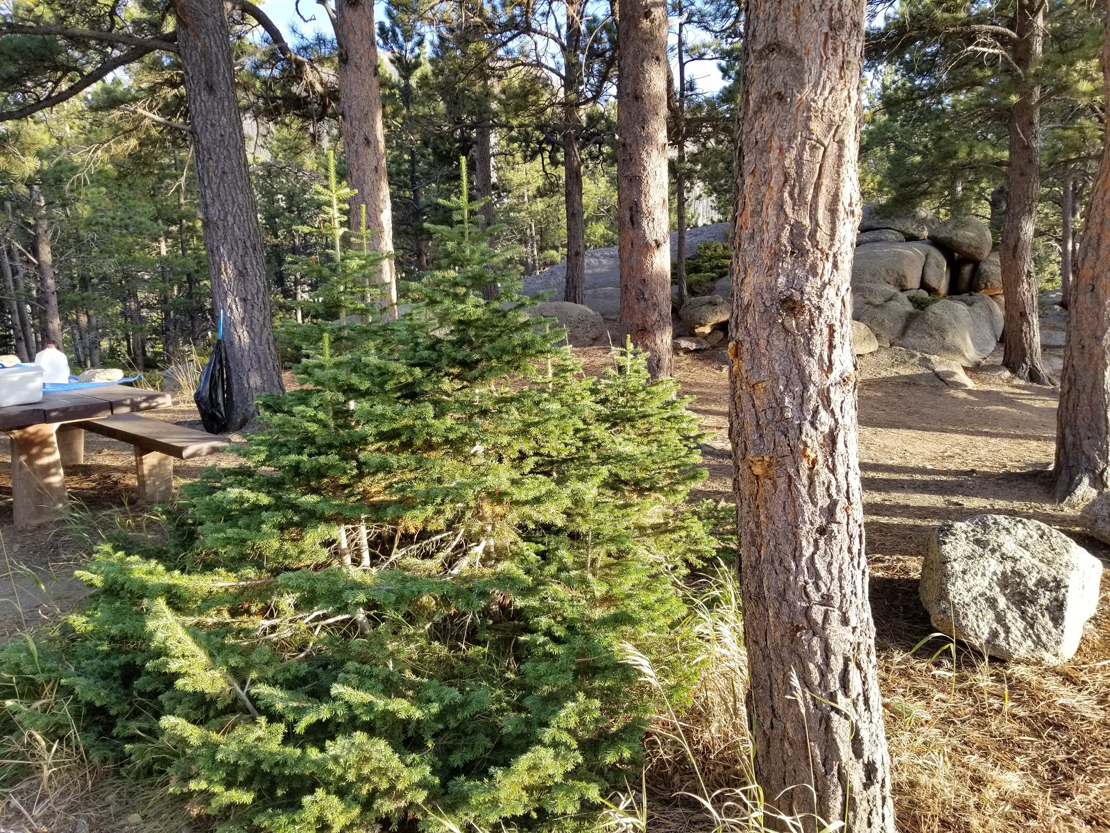 Friend Park Campground