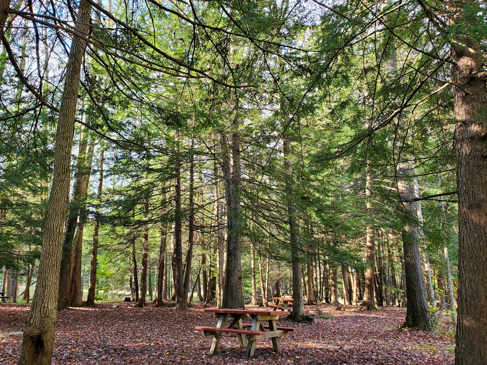 Whitehaven Campground