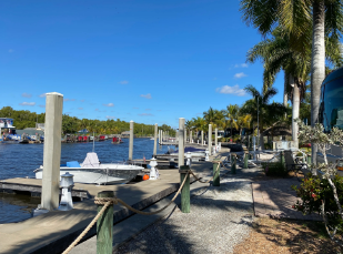 Bear Island - Big Cypress National