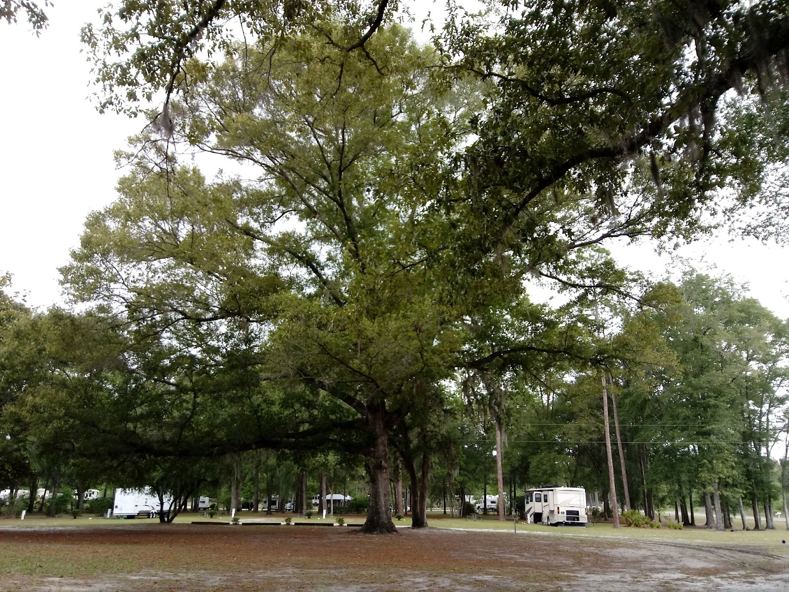White Springs RV Park