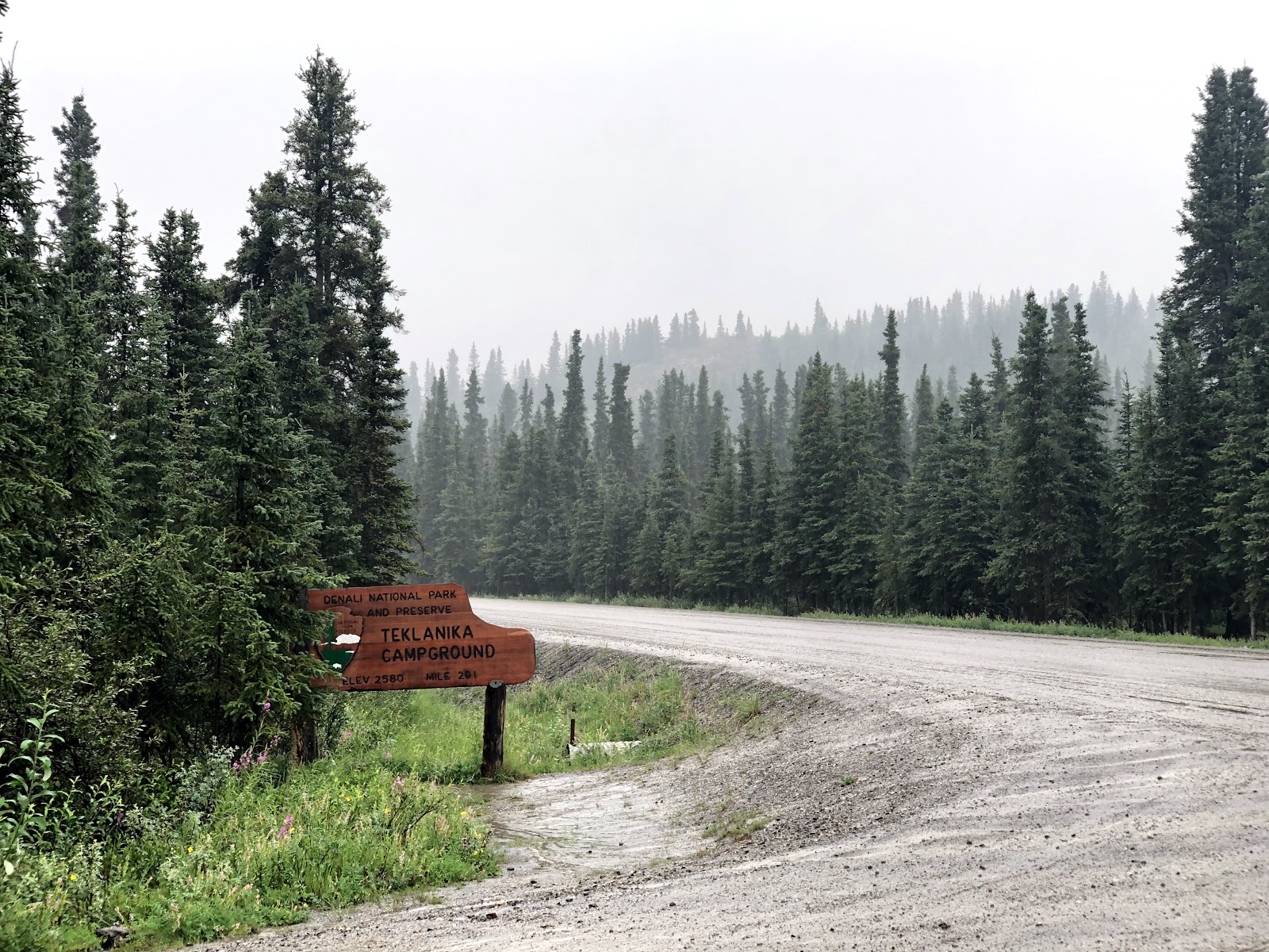 Teklanika River Campground - Denali National Park