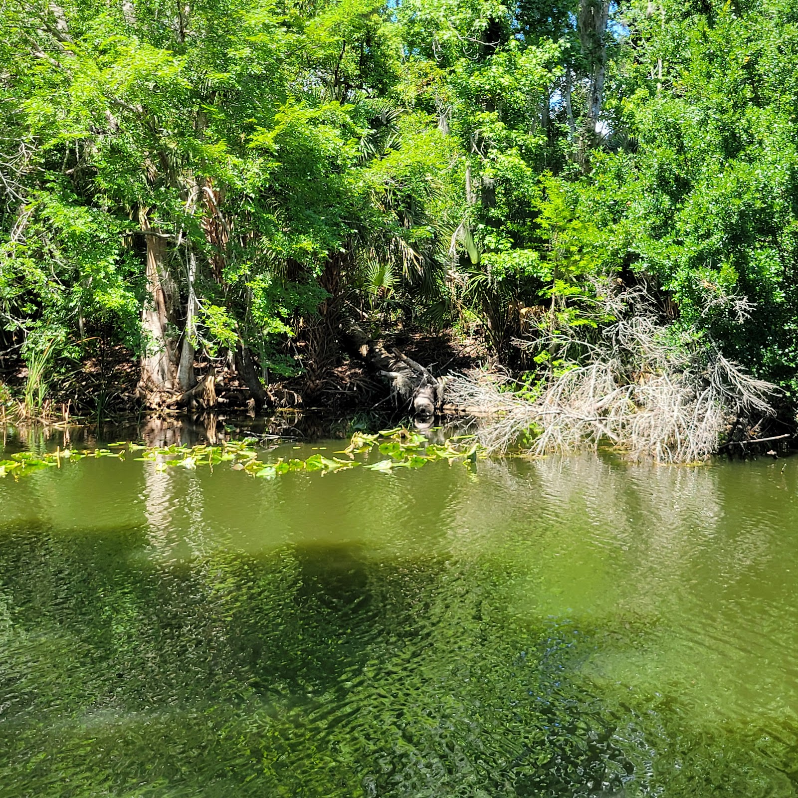 Haines Creek RV Village