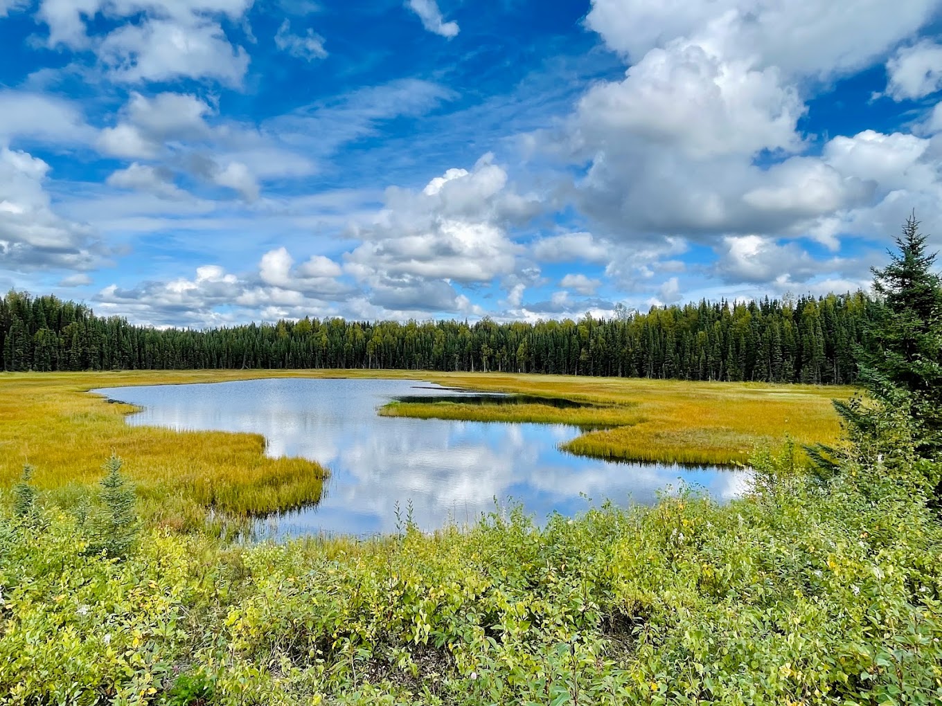 Nancy Lake State Recreation Site
