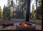 Golden Pines RV Resort and Campground