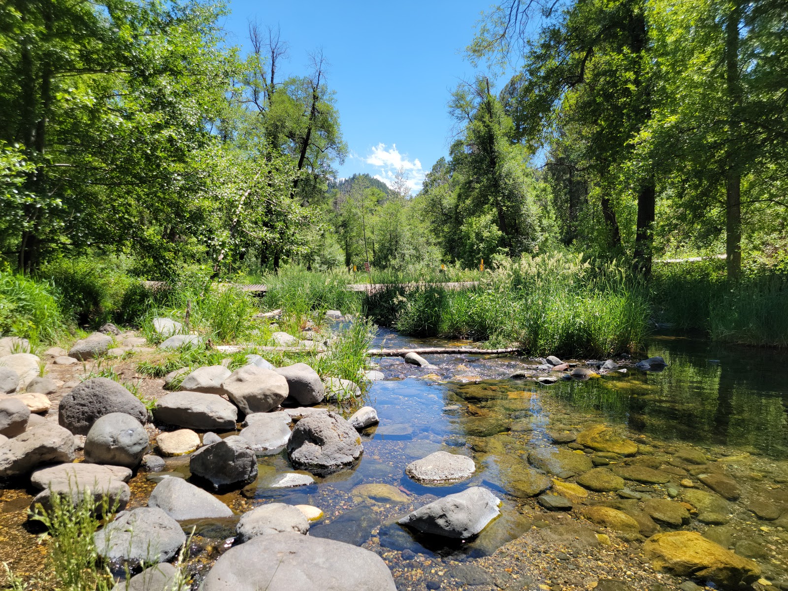Cave Springs Campground