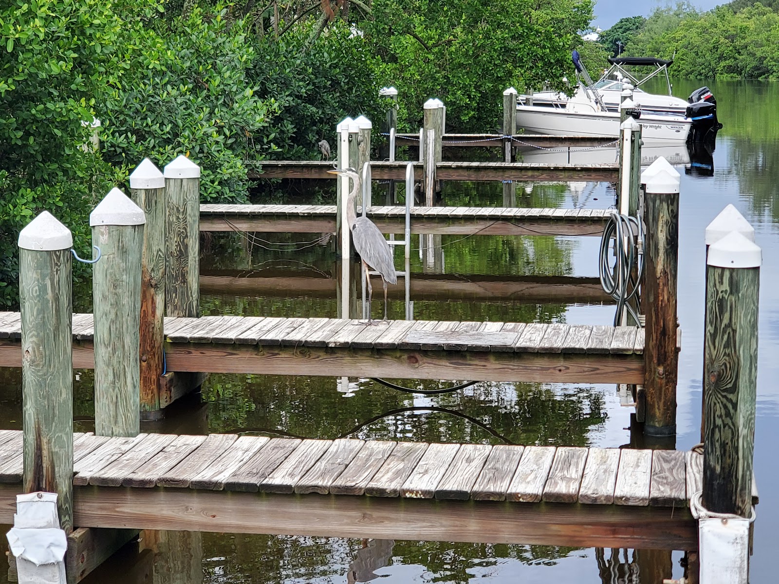 Holiday Cove Travel Trailer Park