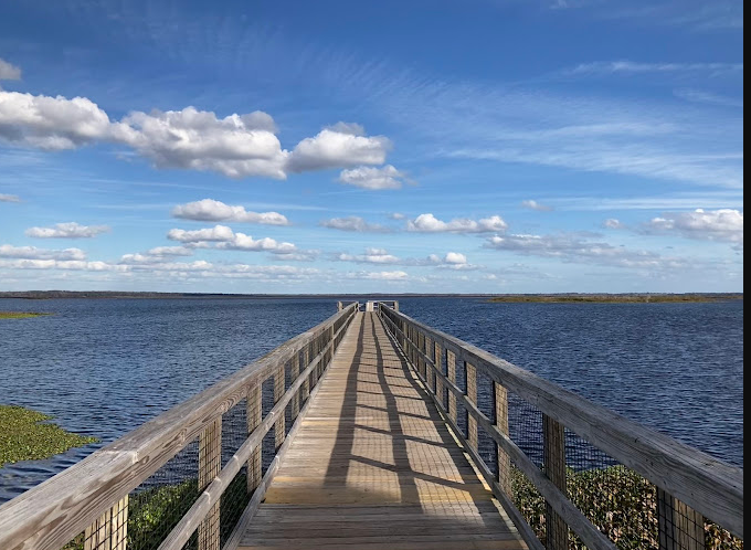 Paynes Prairie Preserve State Park