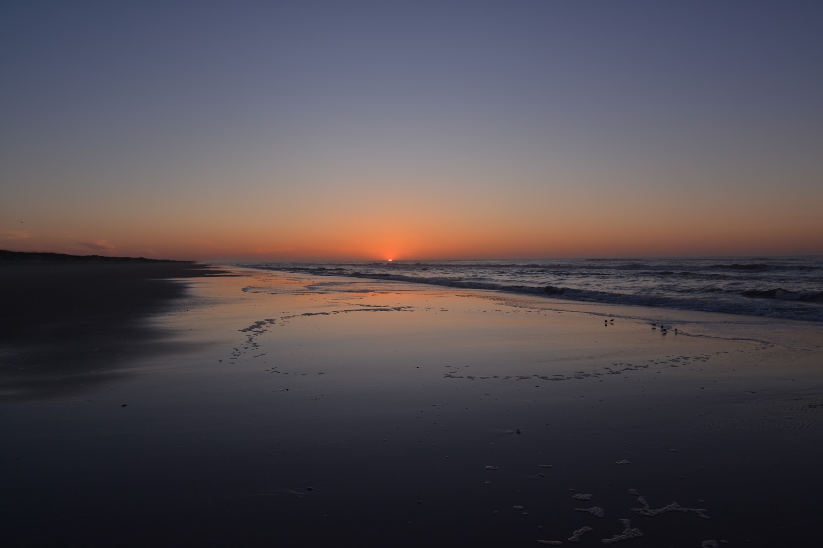 National Park Service Ocracoke Campground