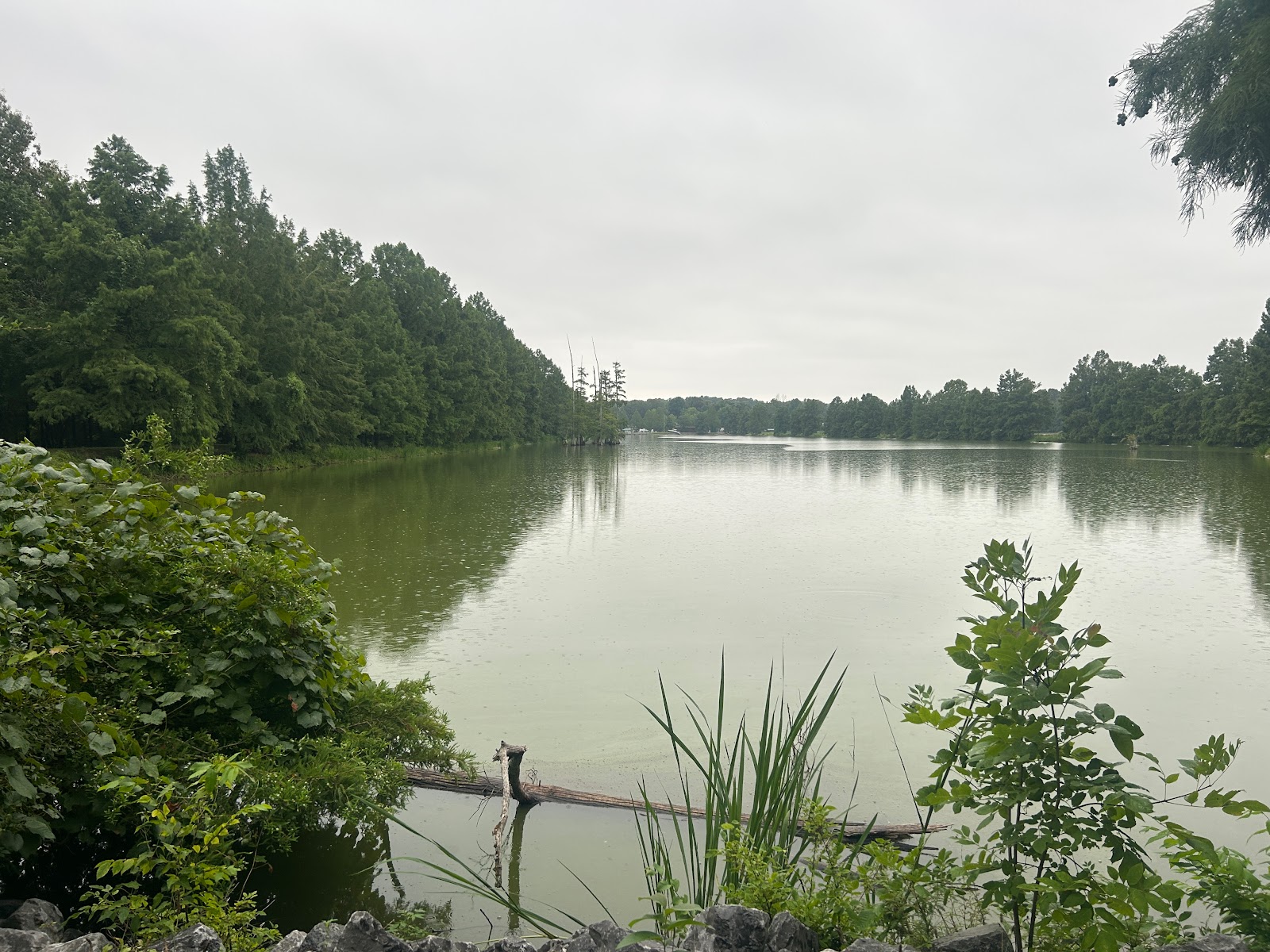 Cypress Lakes RV Park