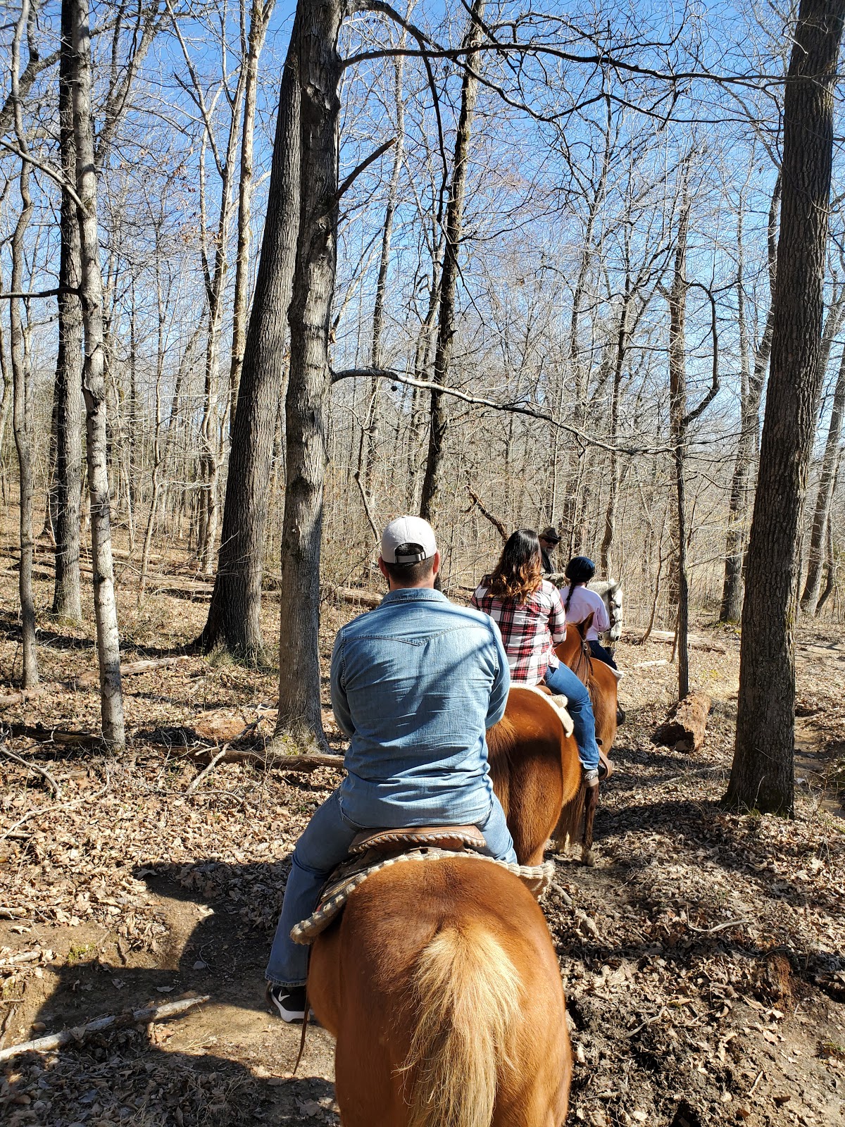 Wranglers Horse Campground