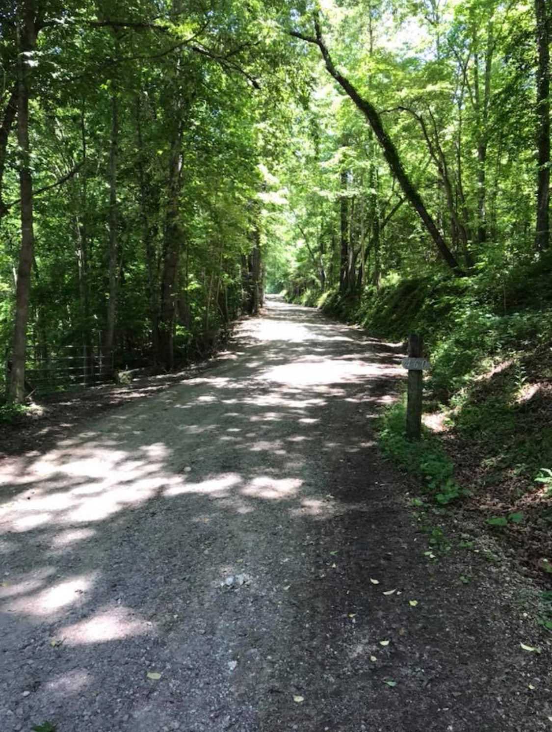 Boo & Bitty’s Campground