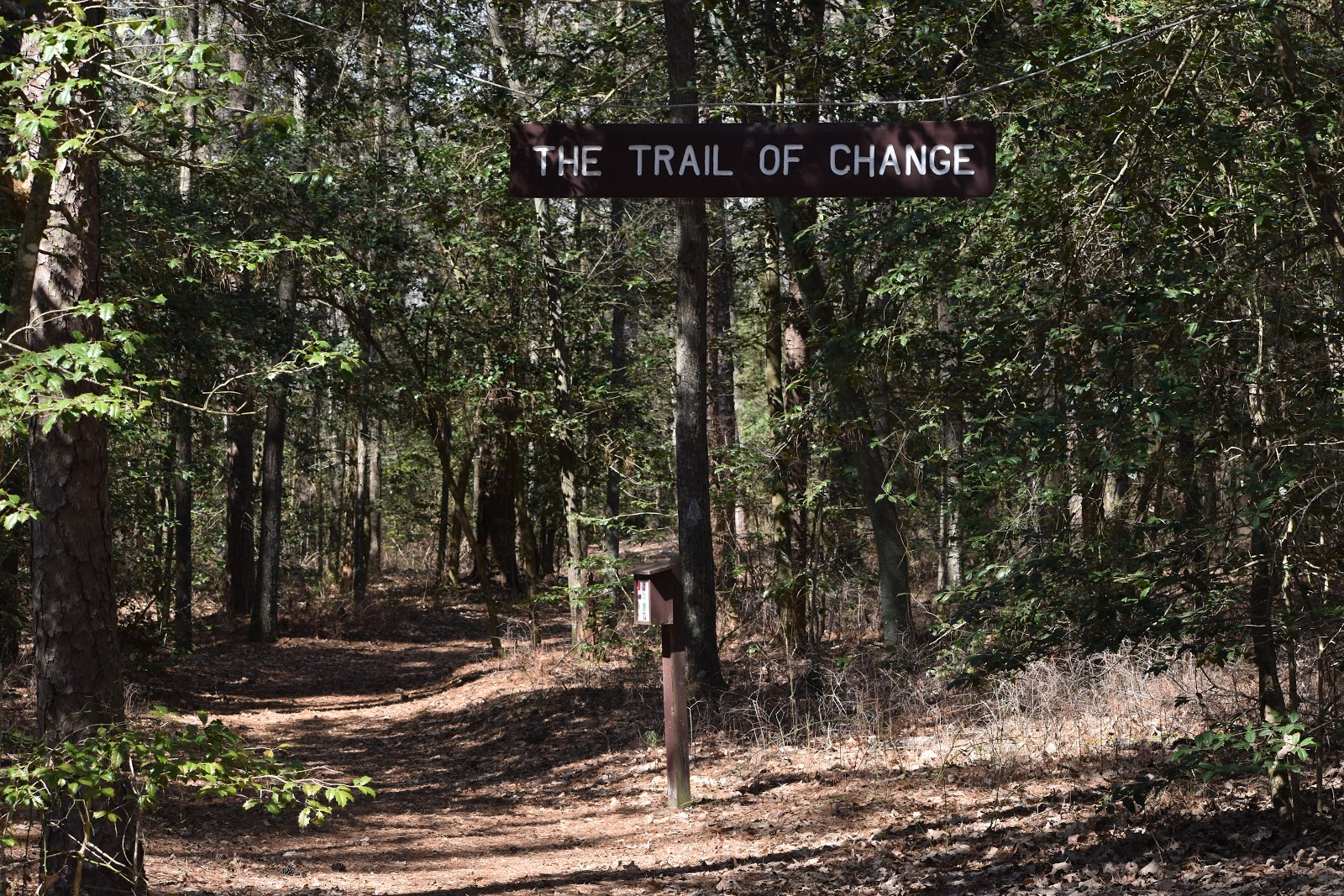 Shad Landing - Pocomoke River State Park