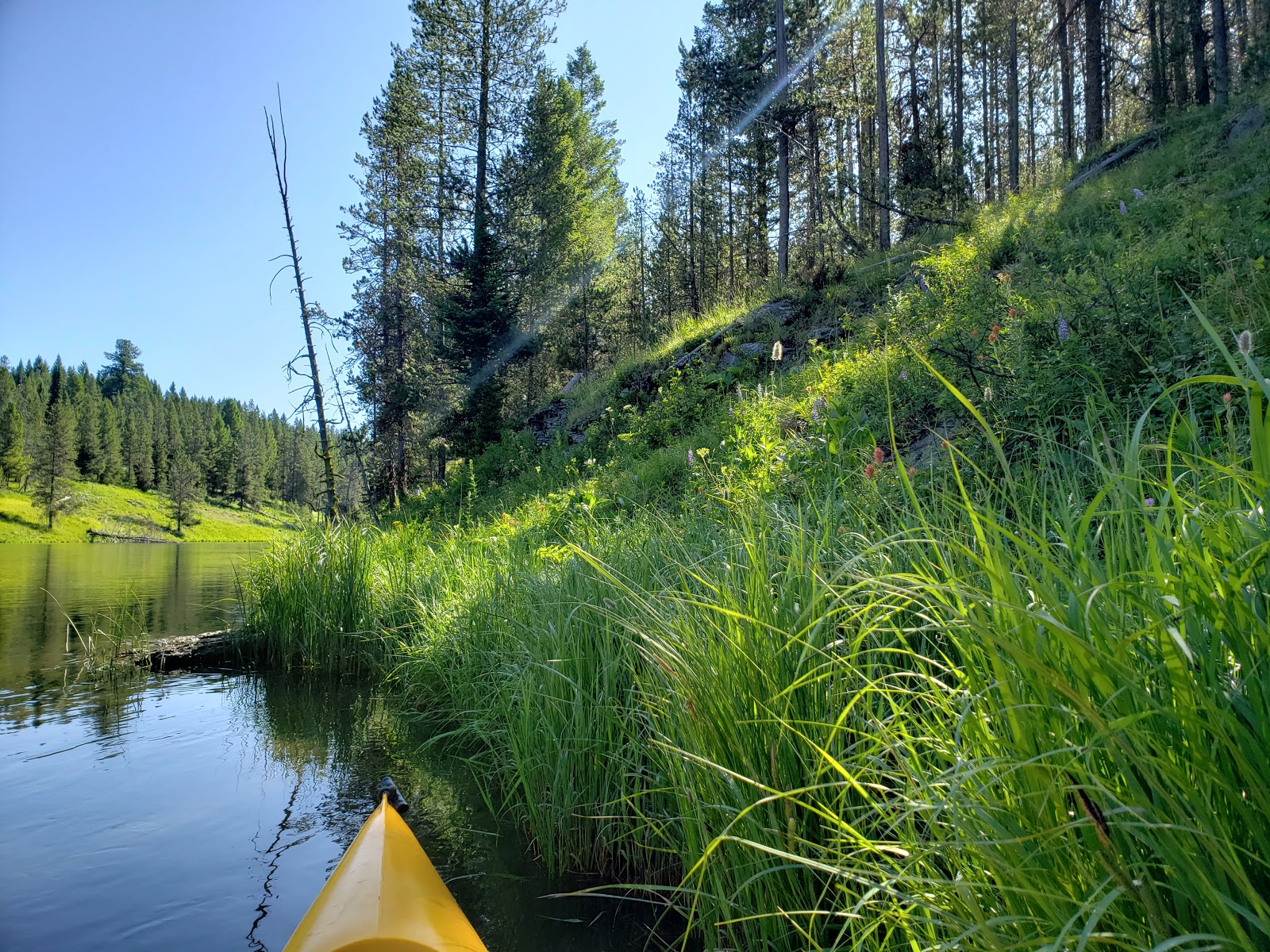 McCrea Bridge Campground