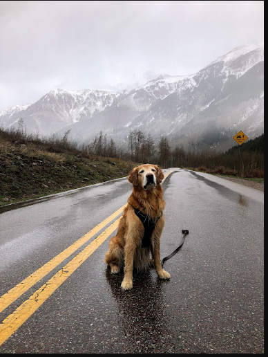 East Maroon Portal Picnic Site