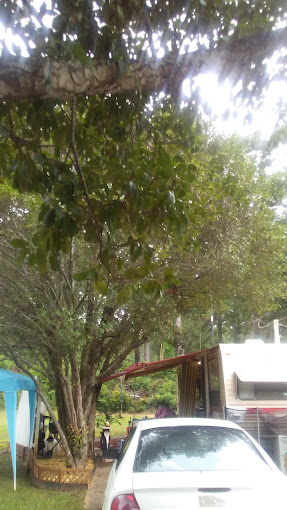 South Oaks Manufactured RV & Mobile Home Park