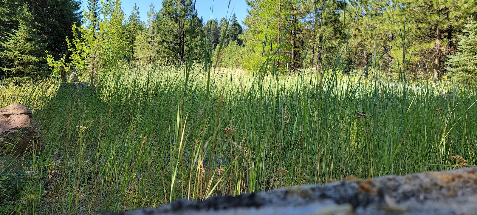 Eightmile Crossing Campground
