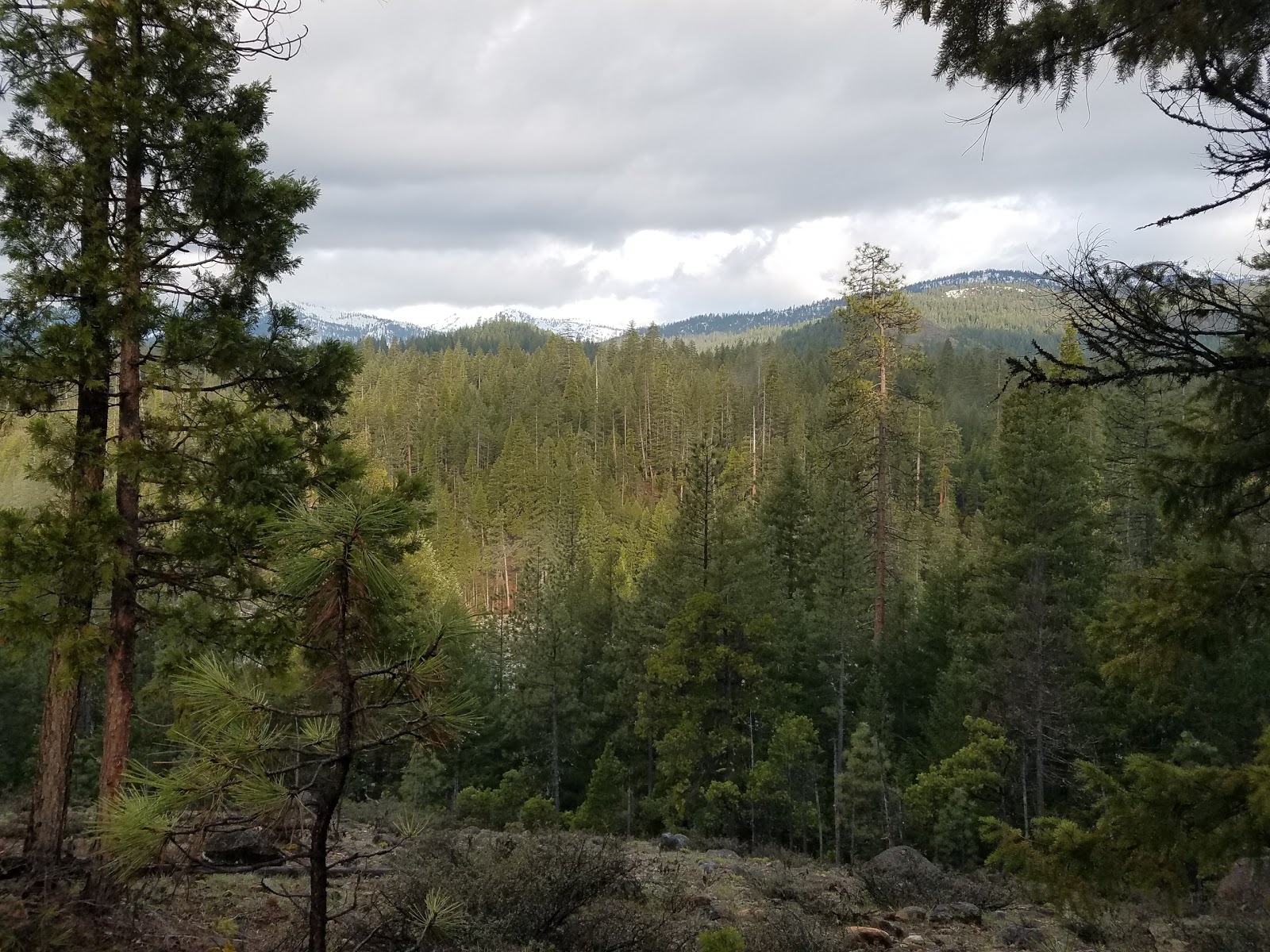 Preacher Meadow Campground