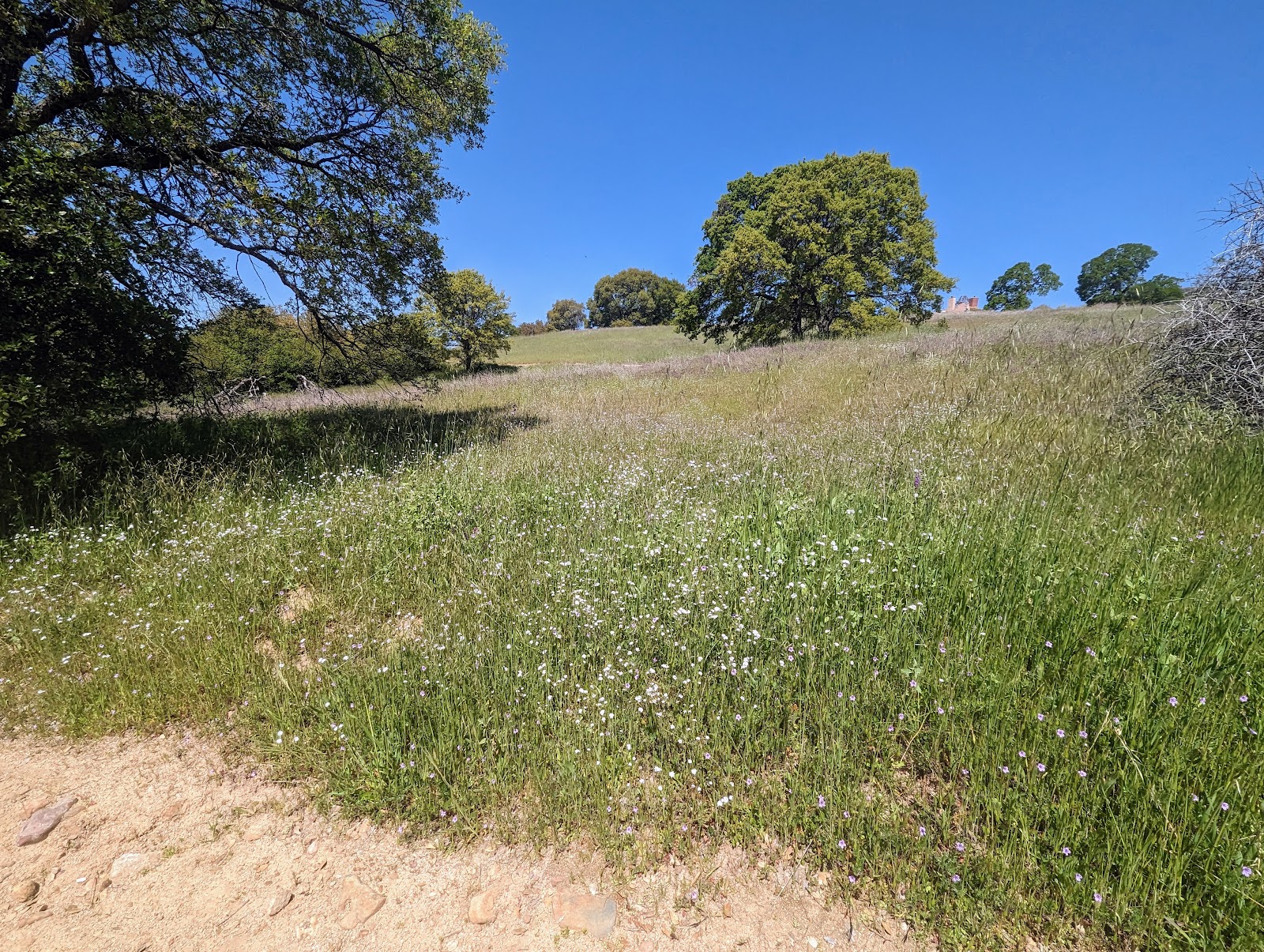 Beals Point - Folsom Lake State Rec Area