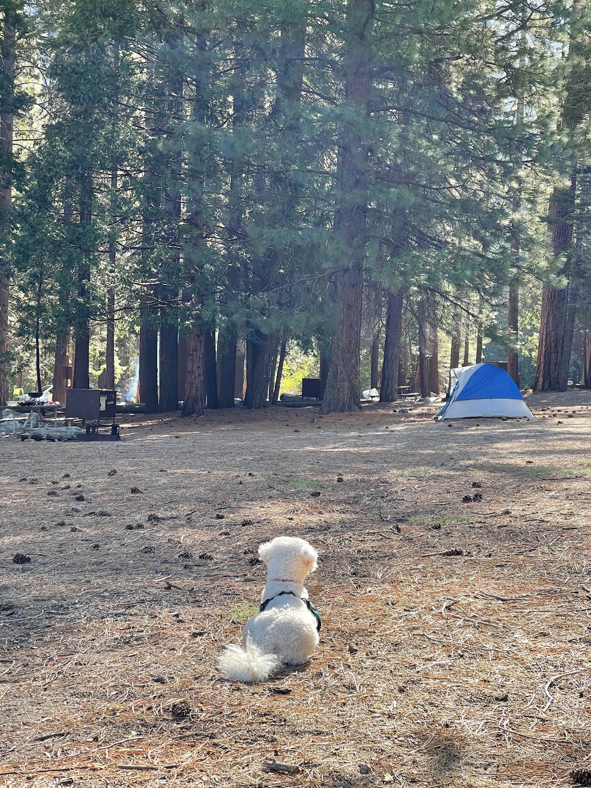 Sentinel Campground