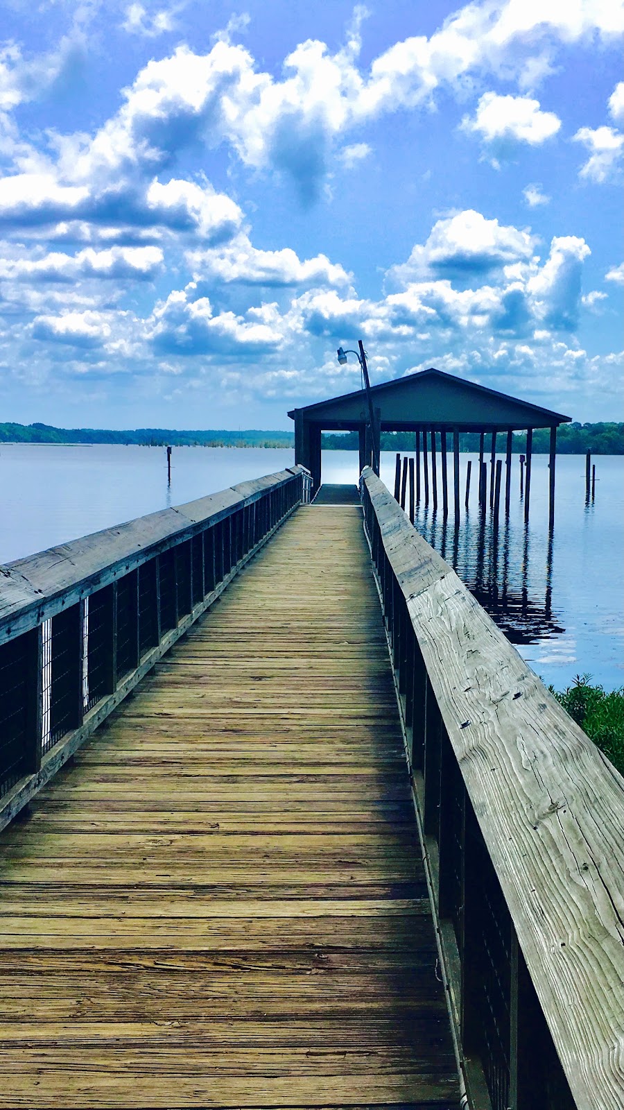 Lake D’Arbonne State Park