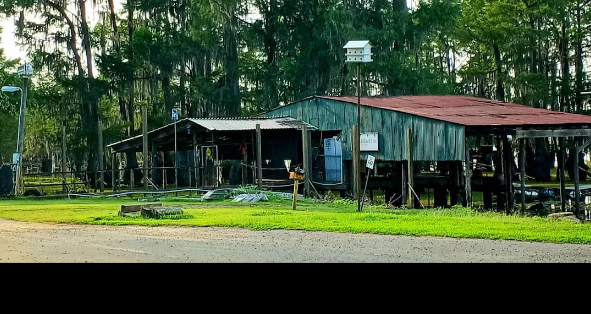 Bistineau Lake RV Park