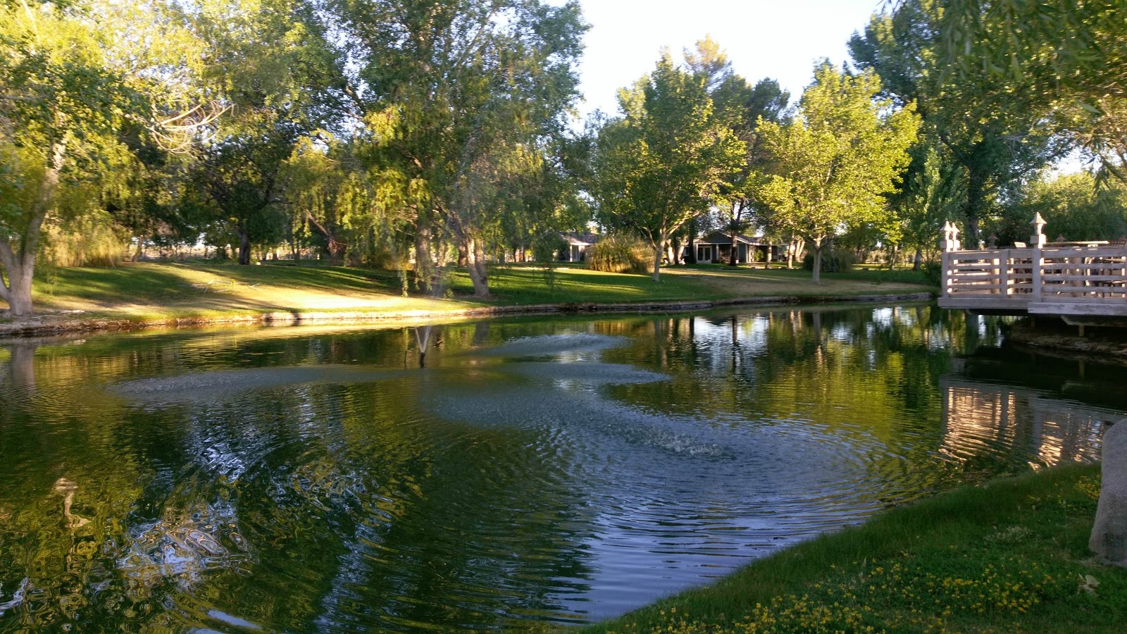 Silver Saddle Ranch Resort