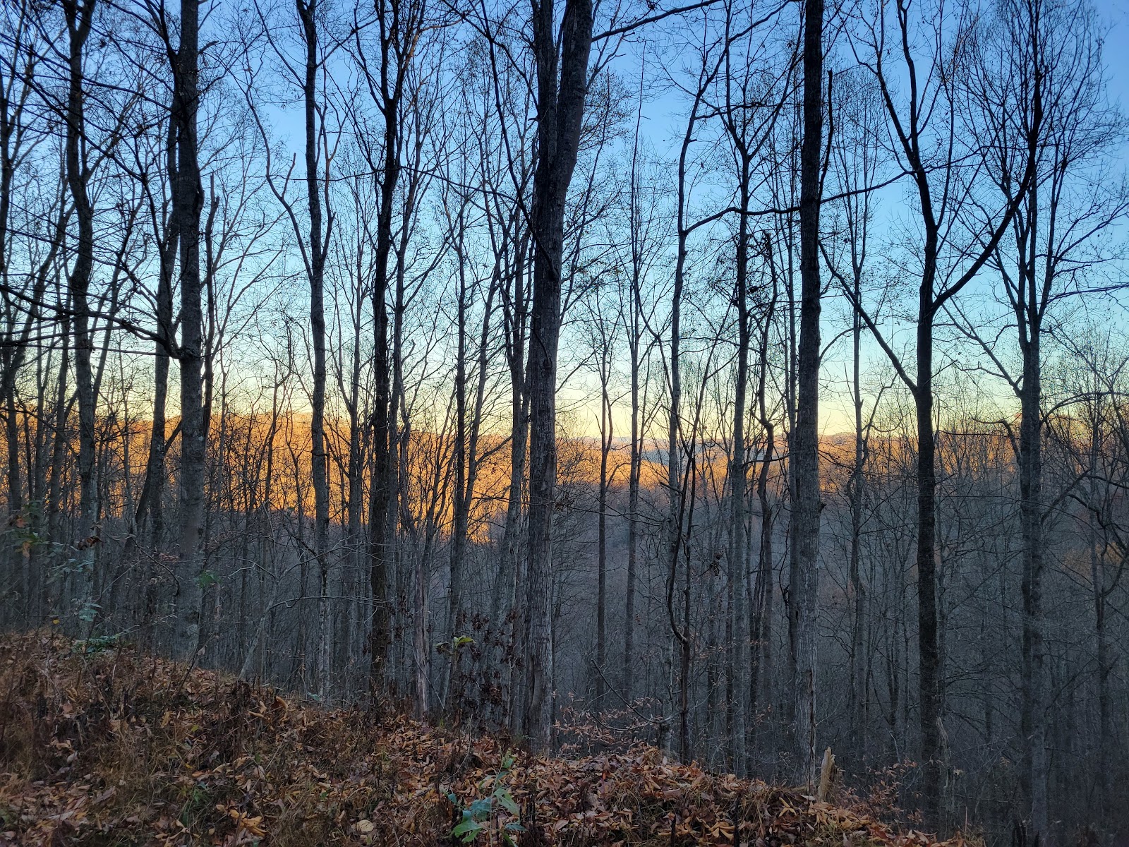 Panther Wildlife Management Area