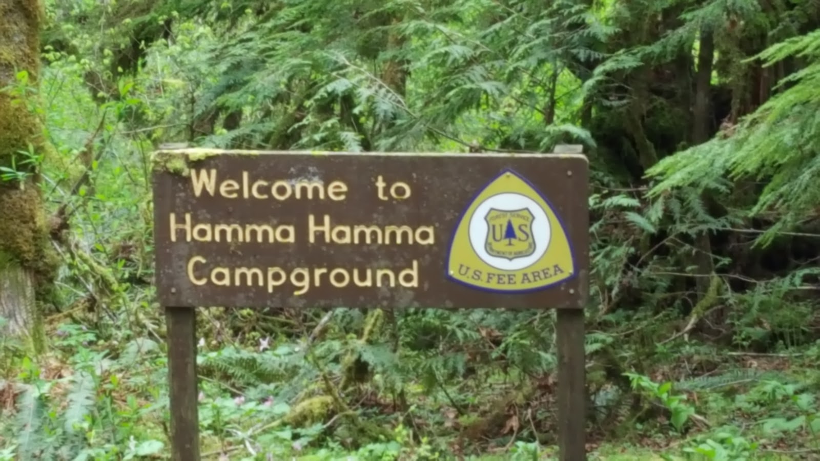 Hamma Hamma Campground