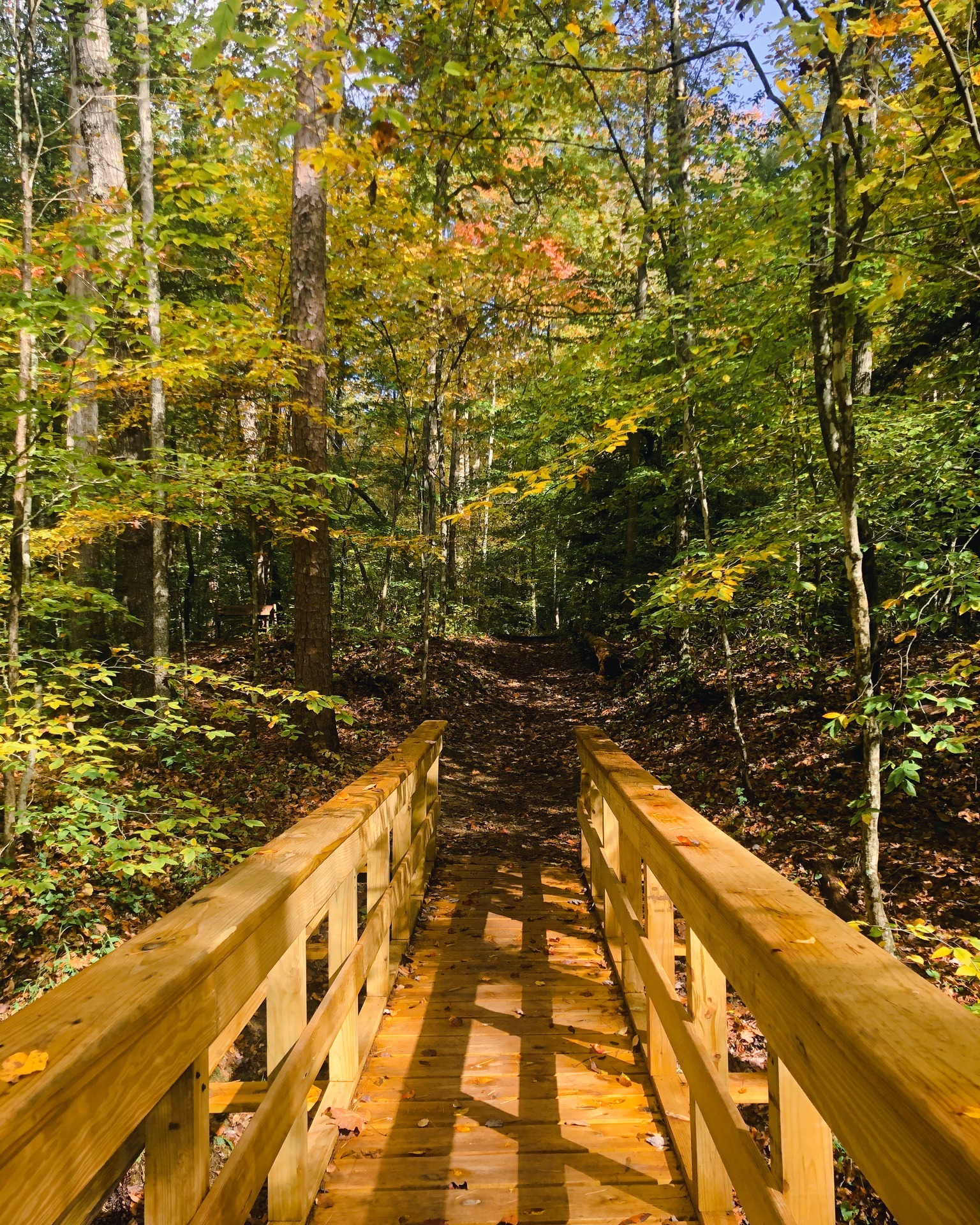 Rodburn Hollow Campgrounds