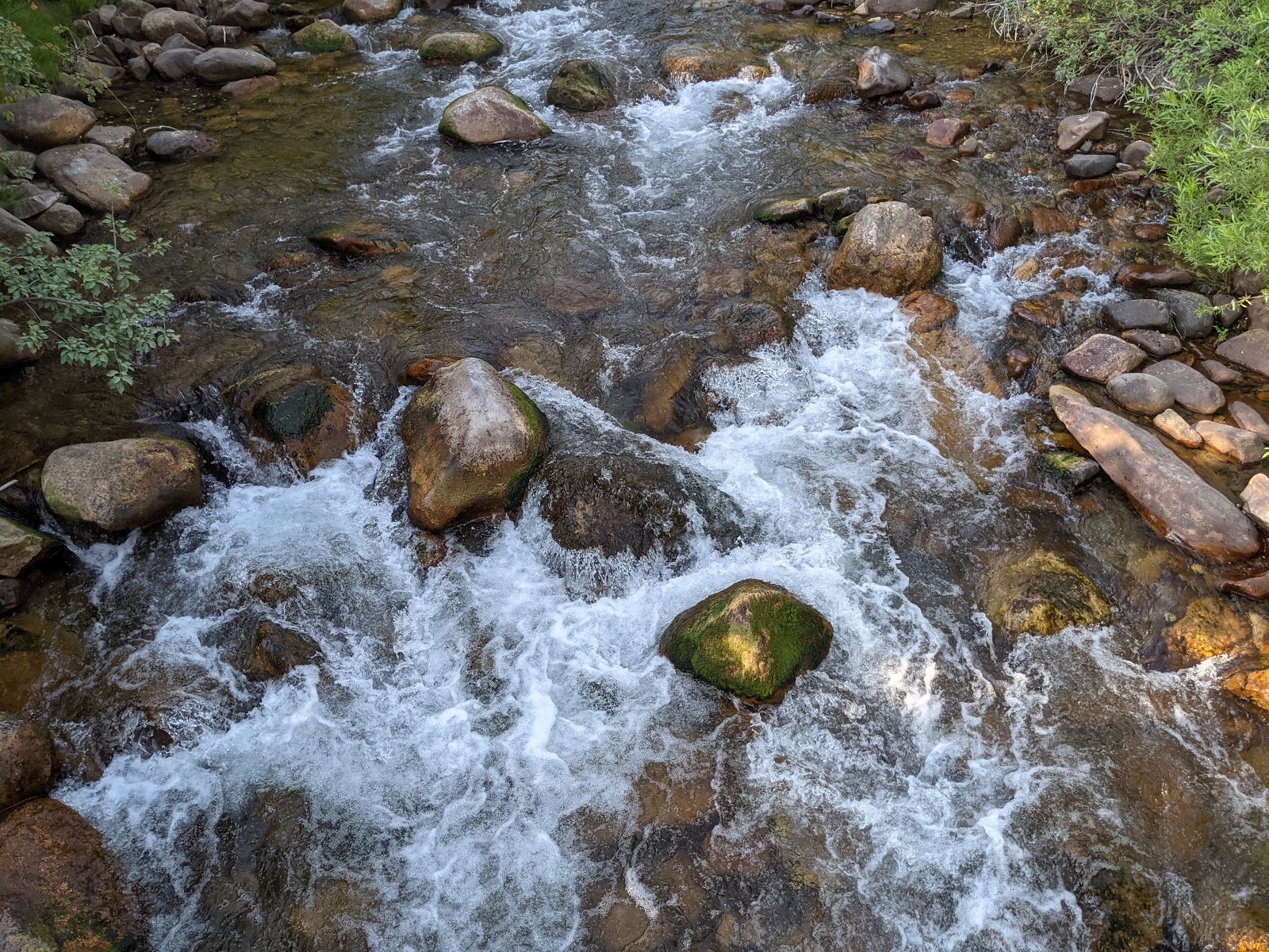 Albert Moser Campground
