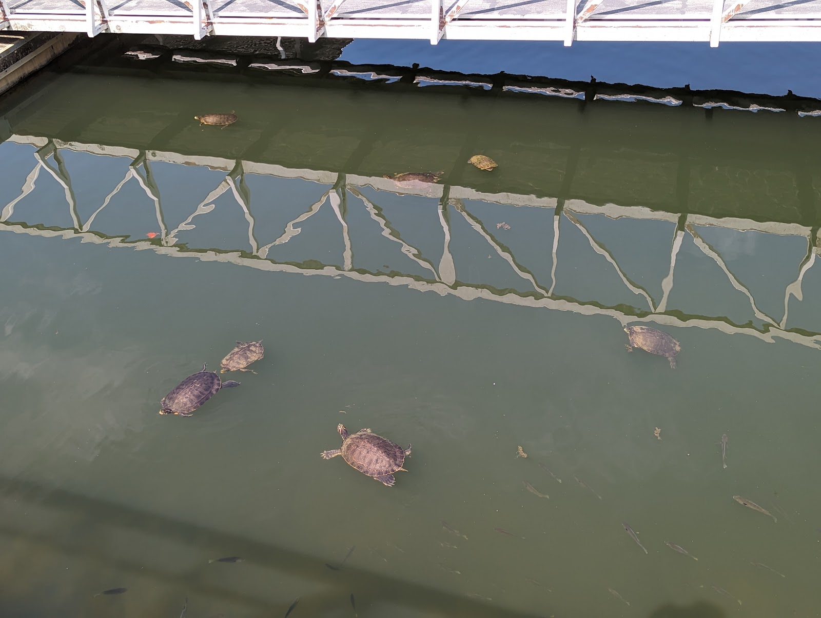 Harrison Bay State Park