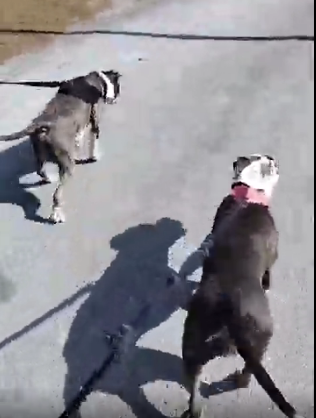 Arrowhead Lake Camp Ground & Recreational Center