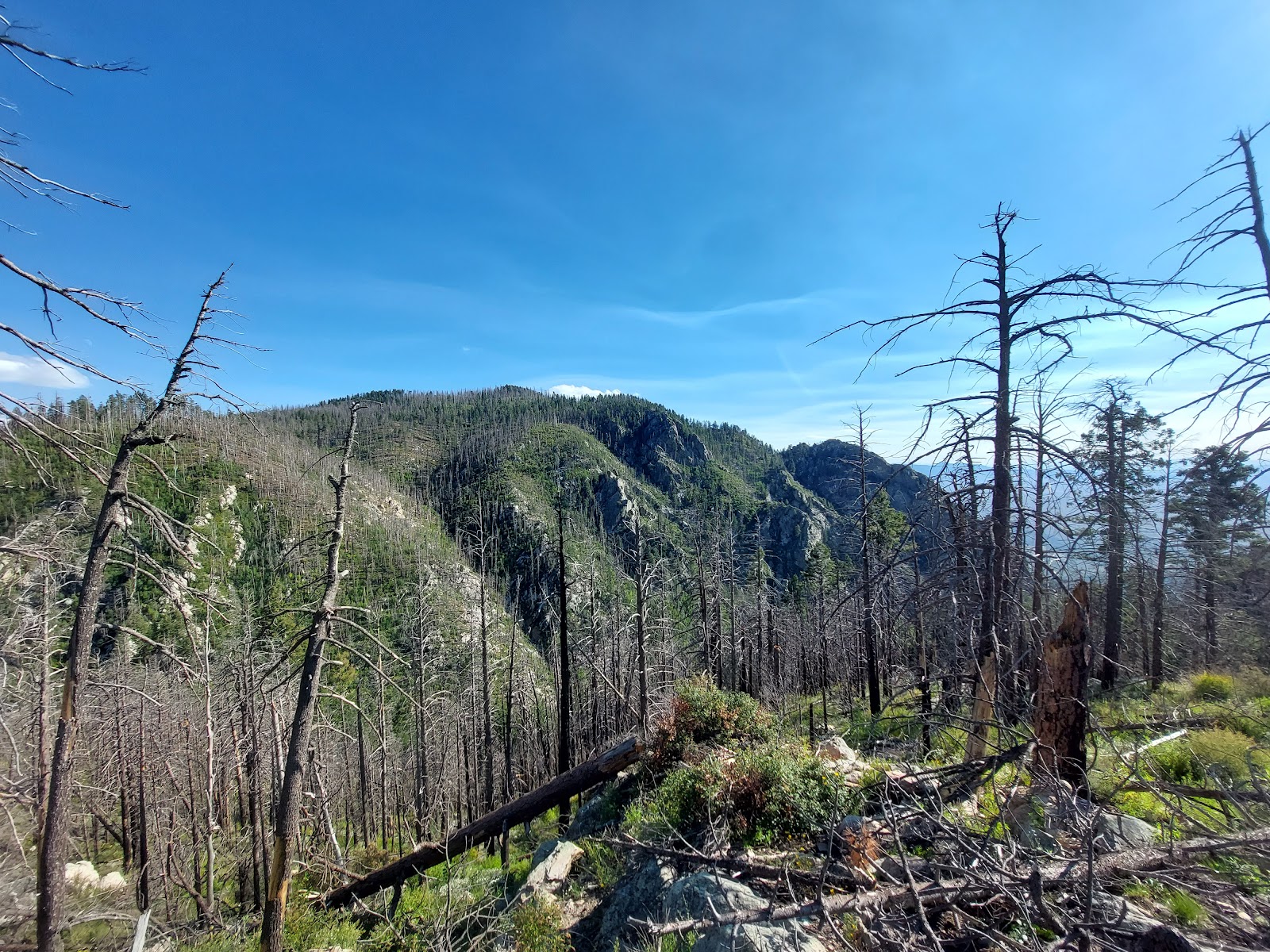 Columbine Corrals Campground