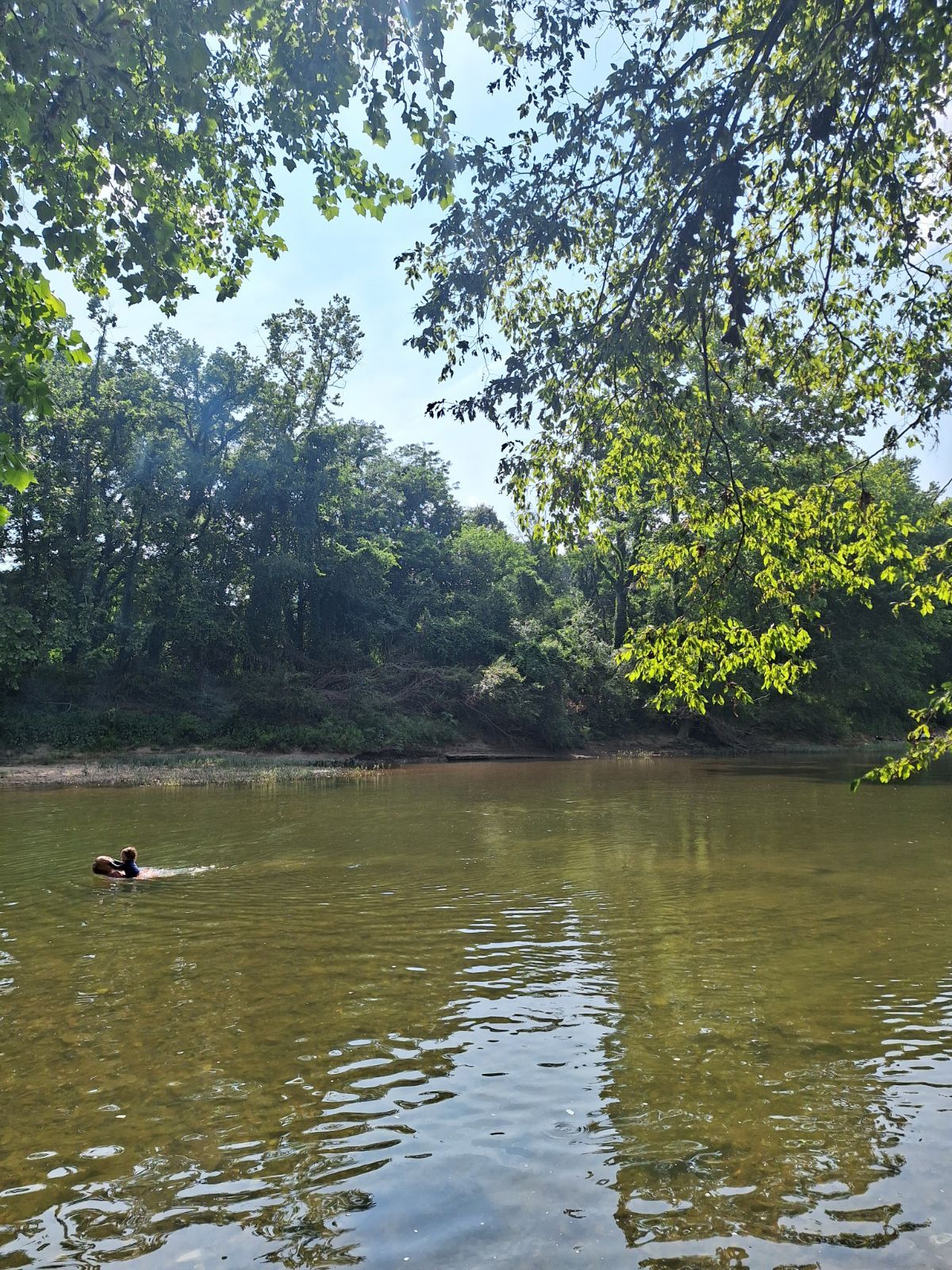 Saline River