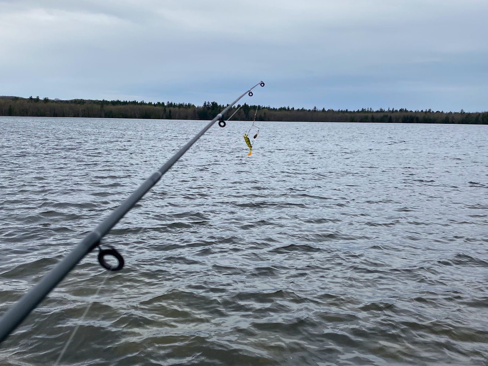 Pine Lake NF Campground
