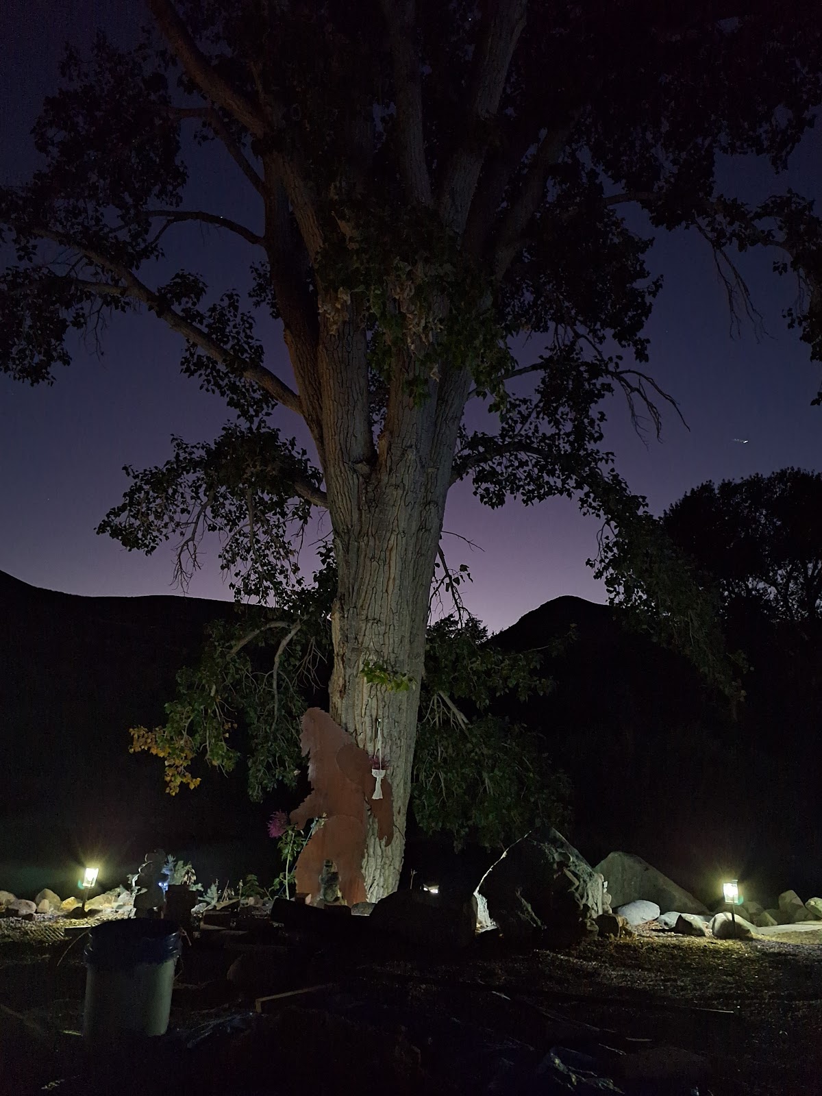 Wellington Station Resort