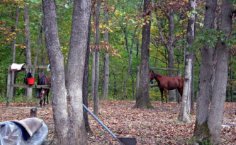 Wilborn Creek (Group Camp)