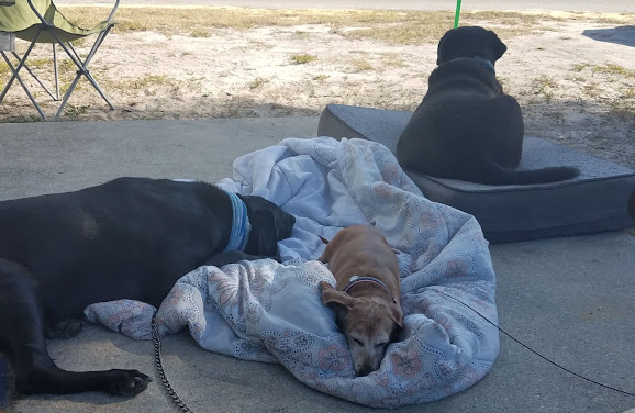 Lake Wales Campground