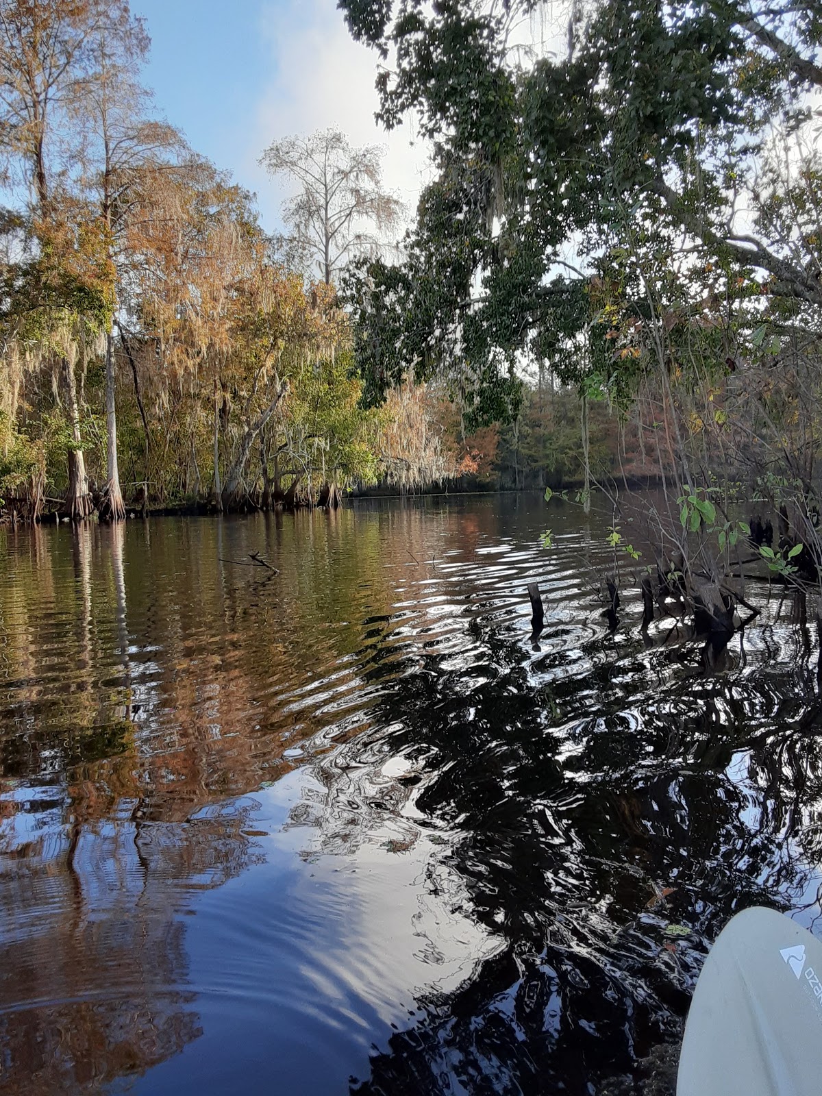 Thousand Palms RV Resort