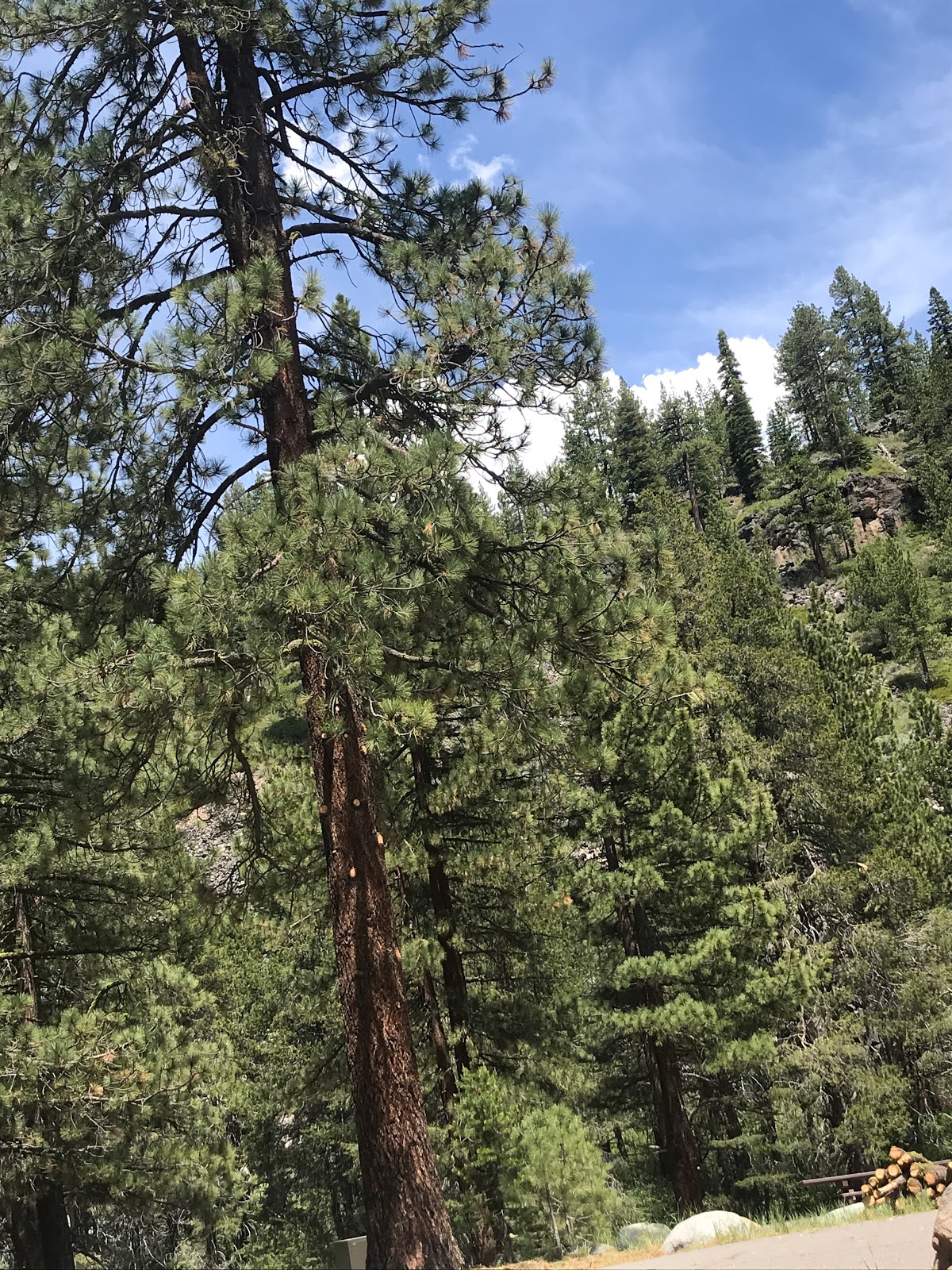 Granite Flat Campground