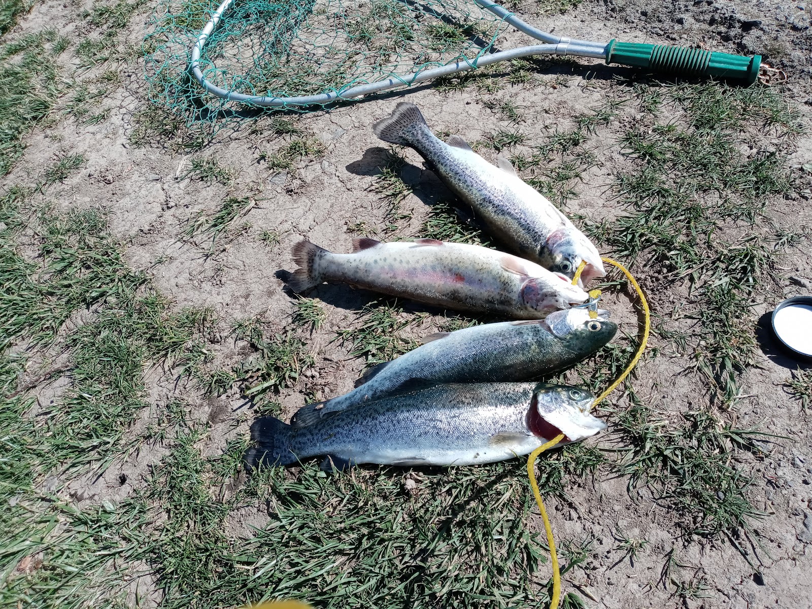 Breitenbush Lake Campground