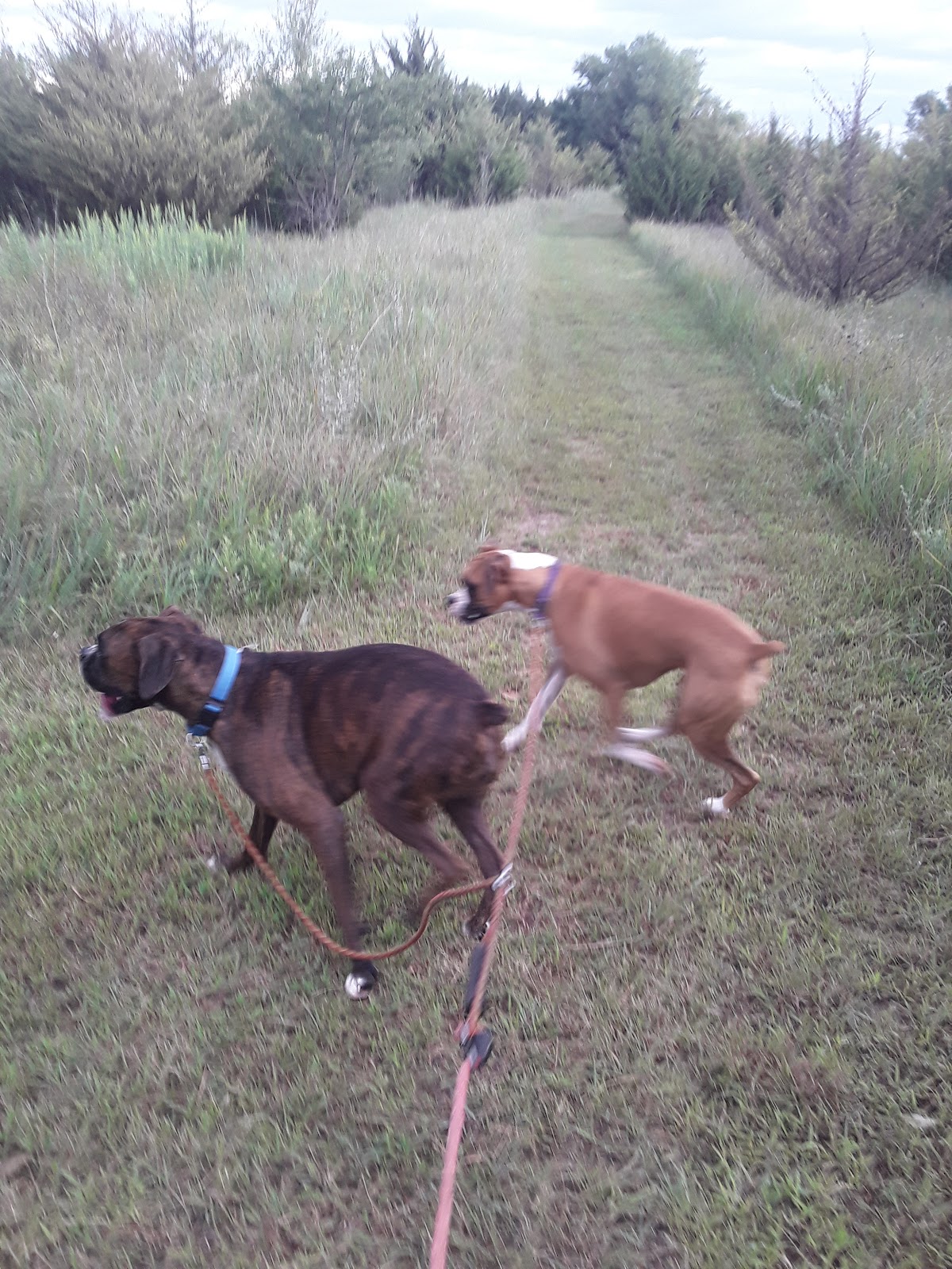 All Seasons RV Park-Wichita