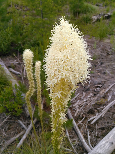 Fishtrap Lake Campground
