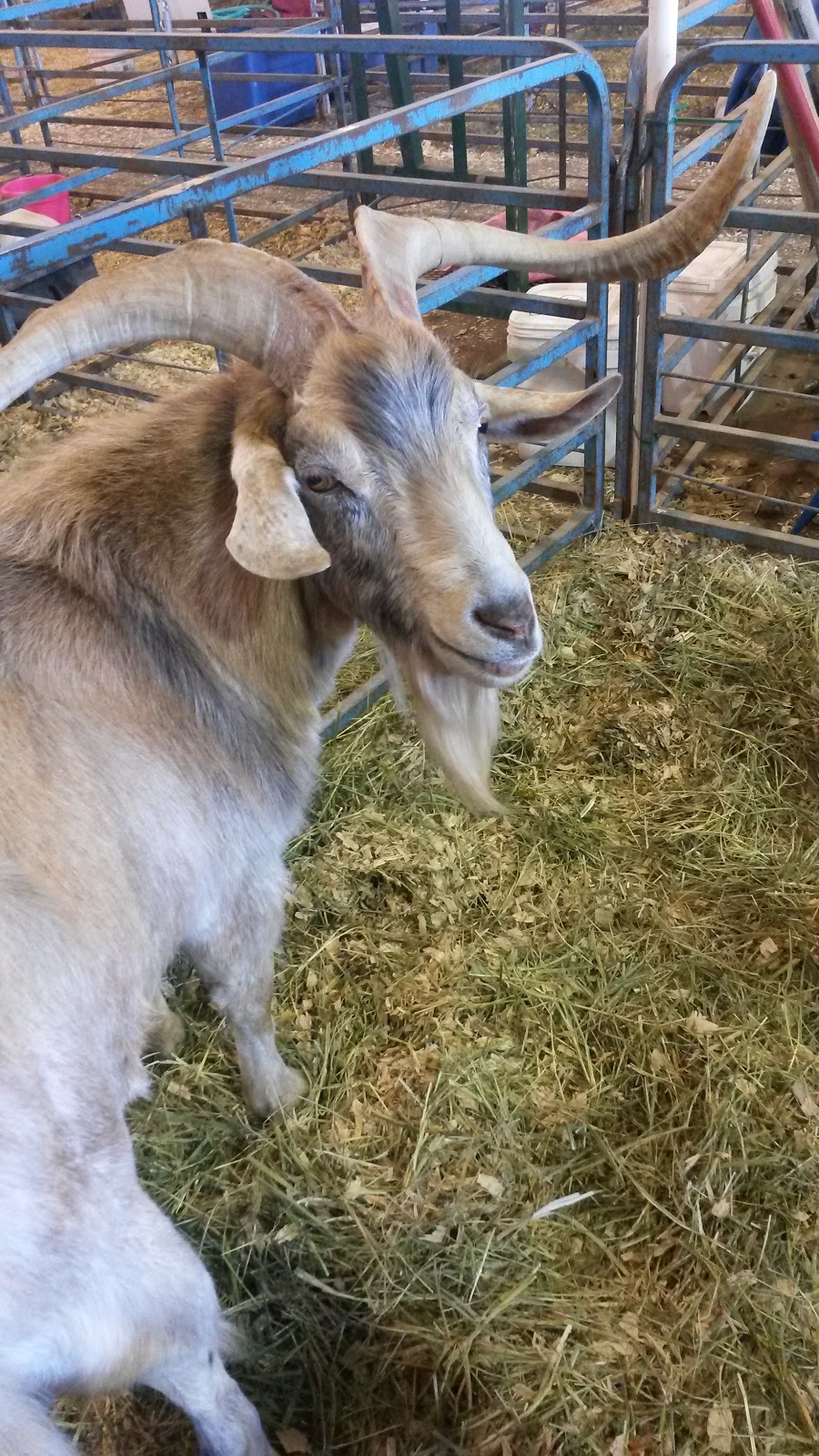 Moffat County Fairgrounds