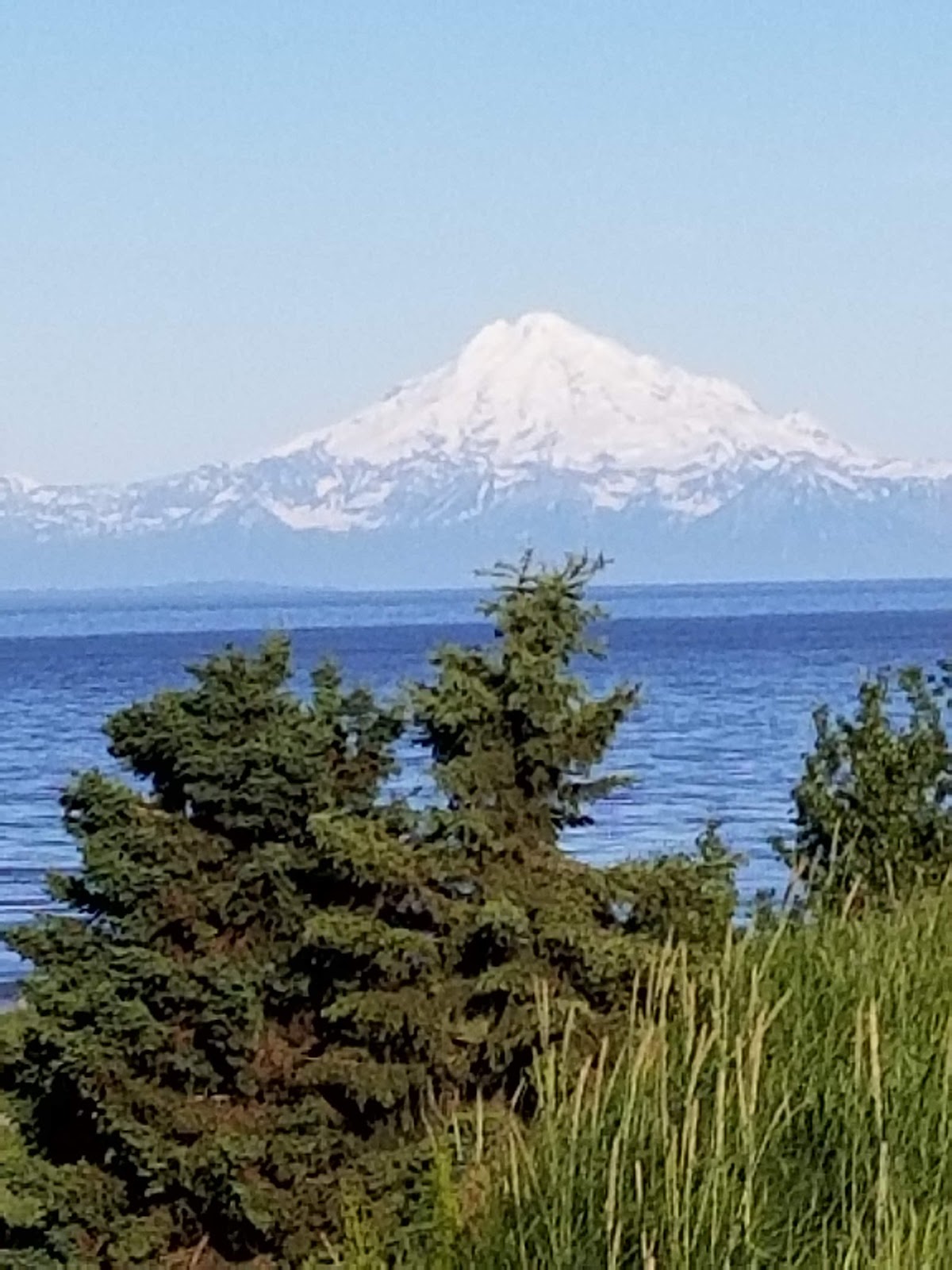 Beluga Lookout RV Park