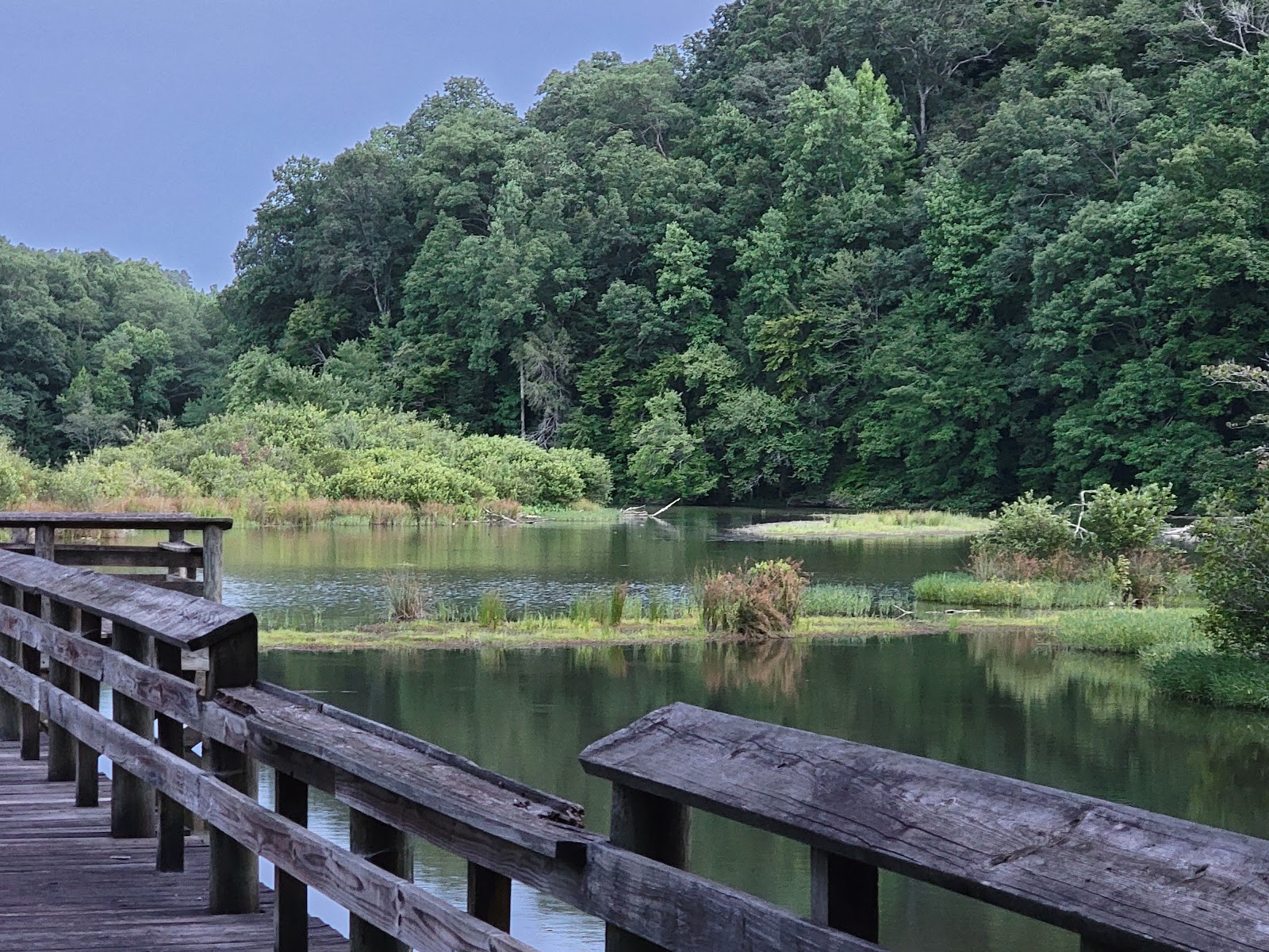 Brushy Lake NF Campground