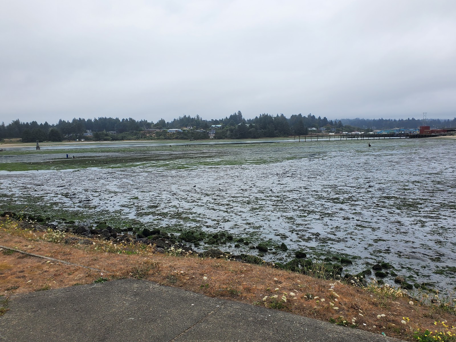 Charleston Marina RV Park