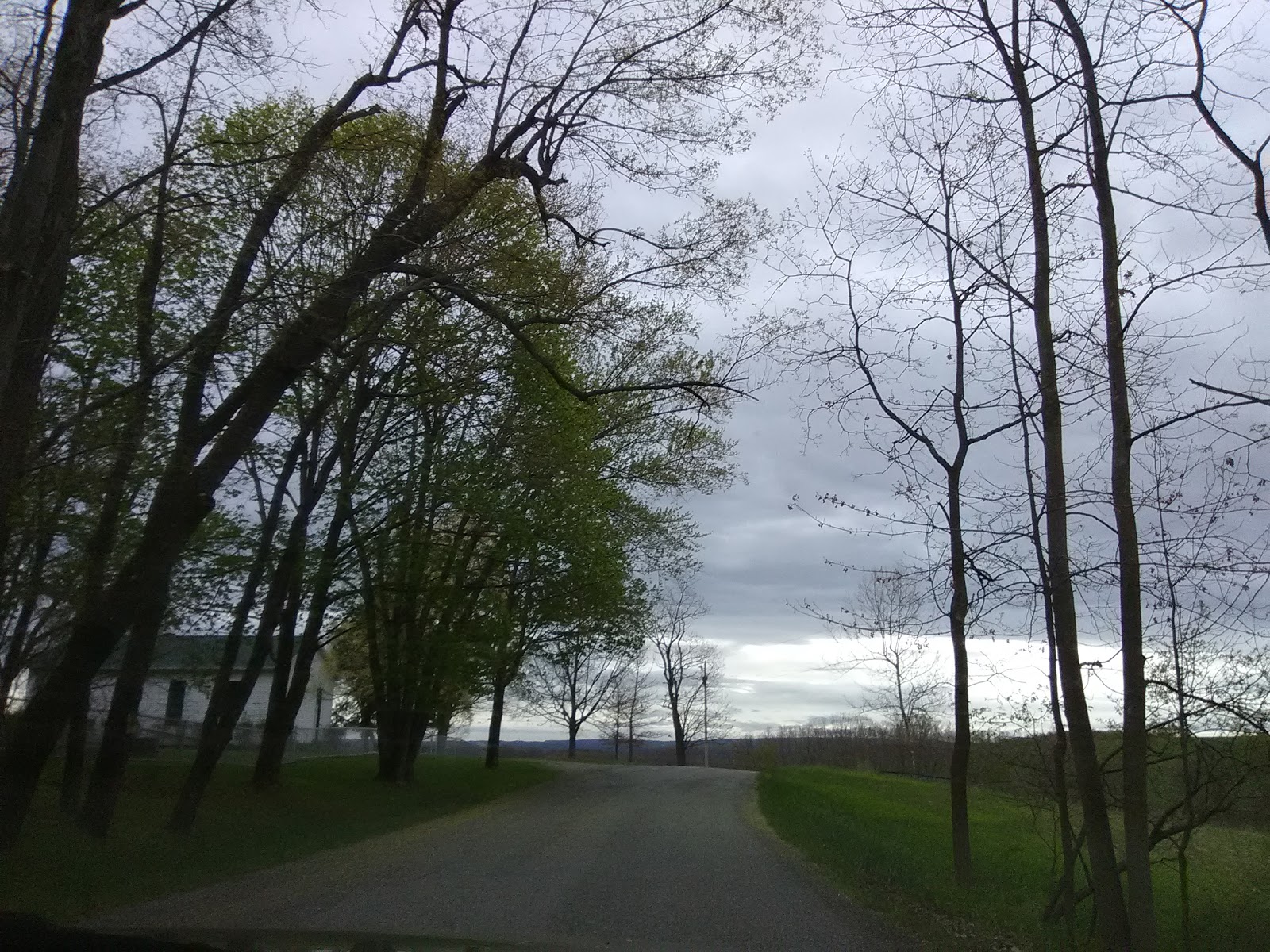 Five Pines Camping & Recreation