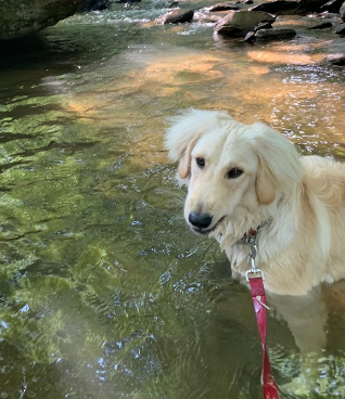 Flintlock Family Campground