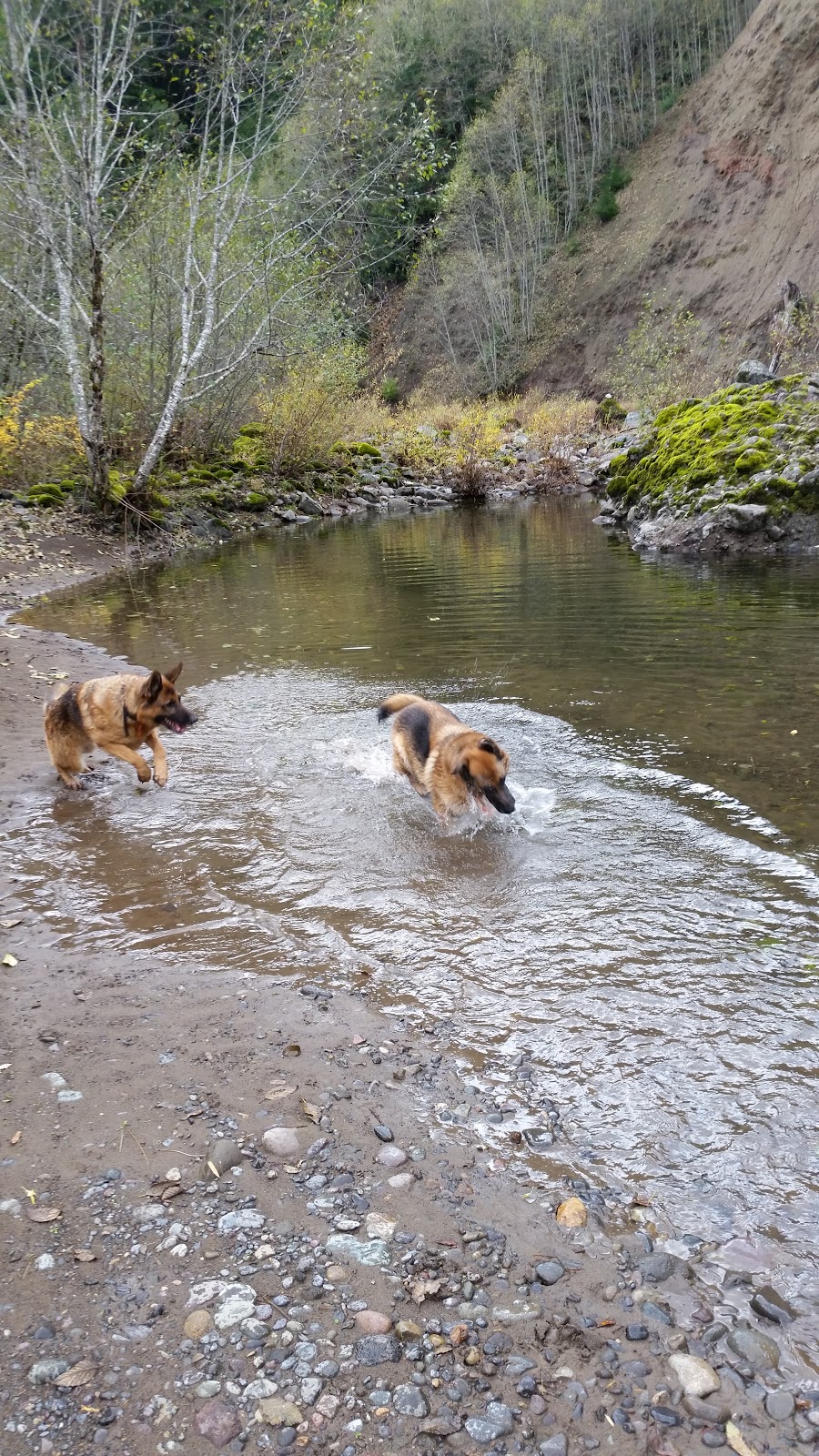 Alder Flat Campground